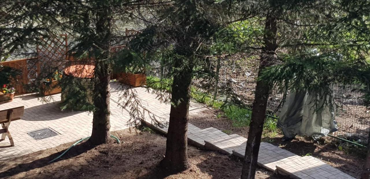 فيلا Sezatoarea Lupilor Lepşa المظهر الخارجي الصورة